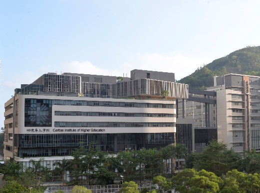 THE HONG KONG INSTITUTE OF SURVEYORS